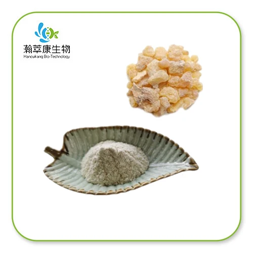 Mastic Gum Extract Powder